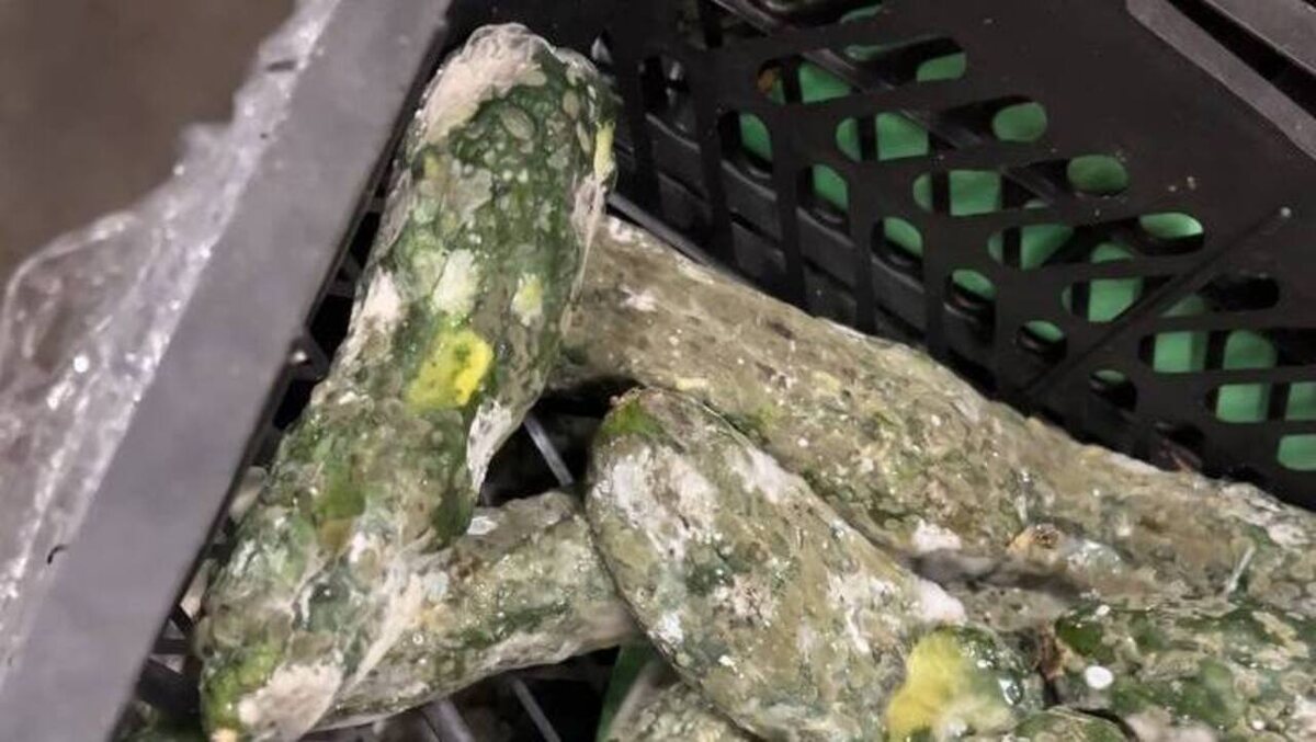    Врио губернатора Курской области посетил магазин «Светофор» после увиденных гнилых овощей