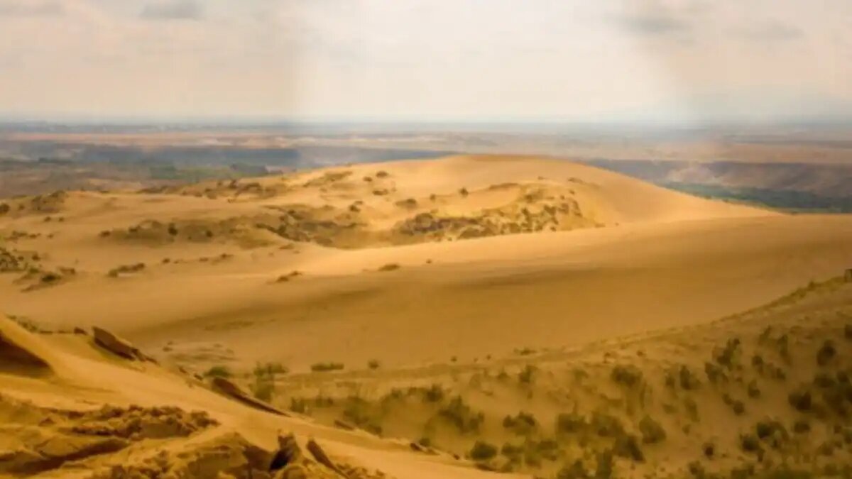 Фото:пресс-служба ЮФУ
В ЮФУ выяснили, с какой скоростью пустыни захватывают южные регионы