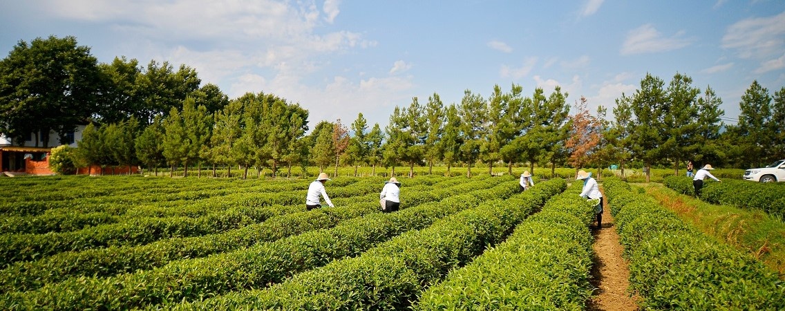 @Orkhan_Azim/Shutterstock
