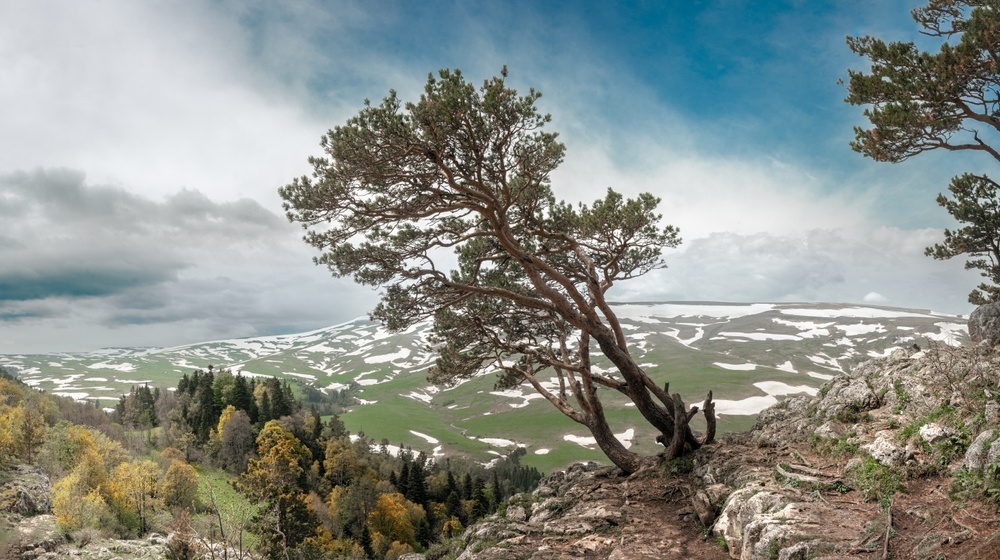 @VIKTOR KHYMYCH/Shutterstock