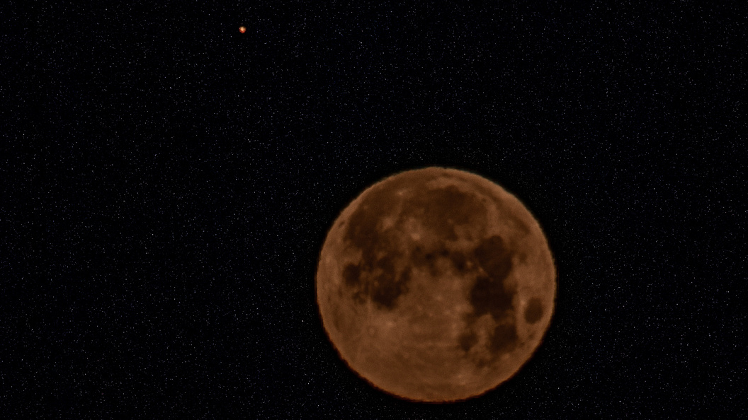    Фото: Svetlana Vozmilova/Global Look Press