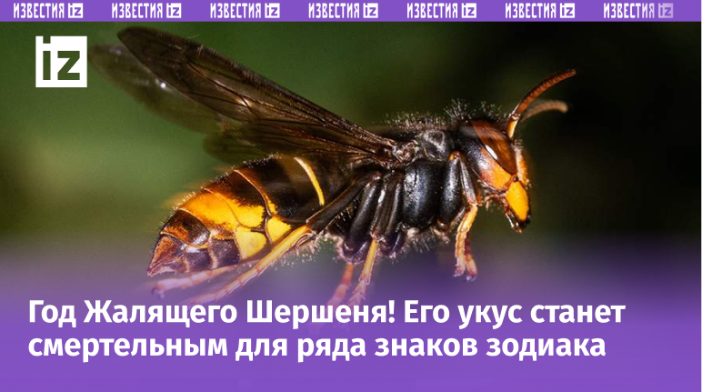 Жалящий Шершень — славянский символ 2025 года! Кому поможет мифический покровитель?