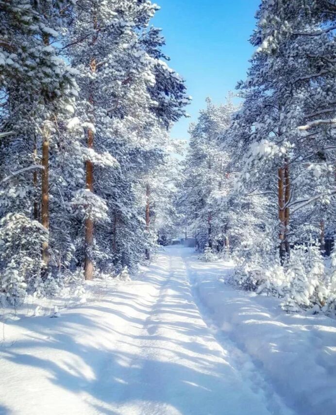 Фото из интернета 