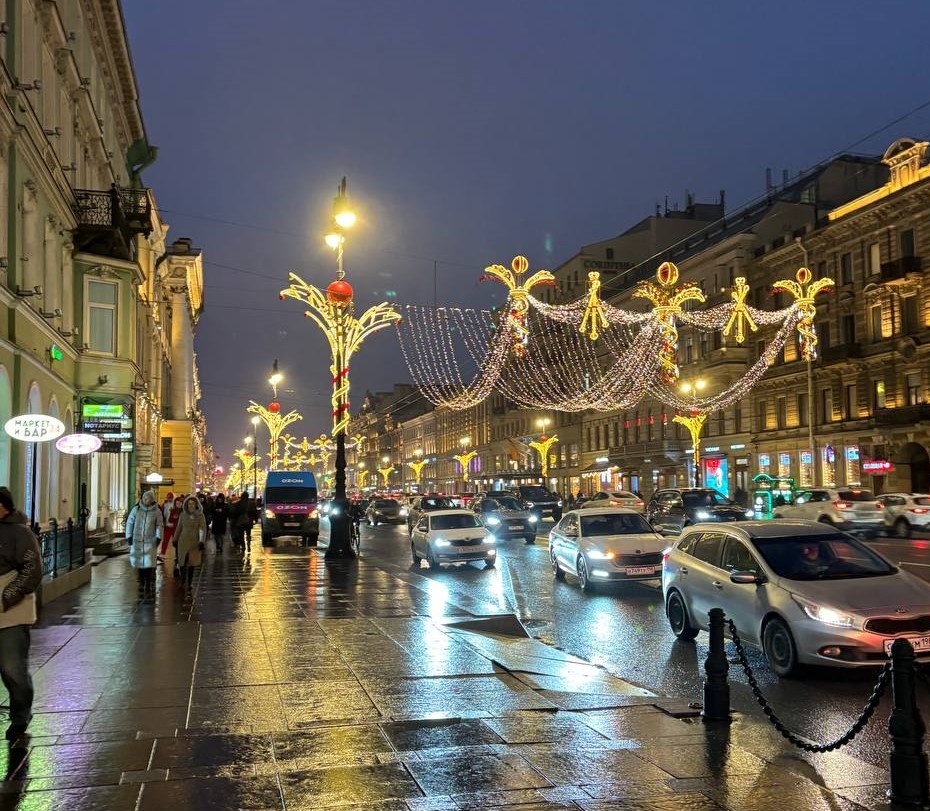 Новый год все ближе, а снега все меньше.  Скользкой дорожки пока нет, но всё еще будет :)