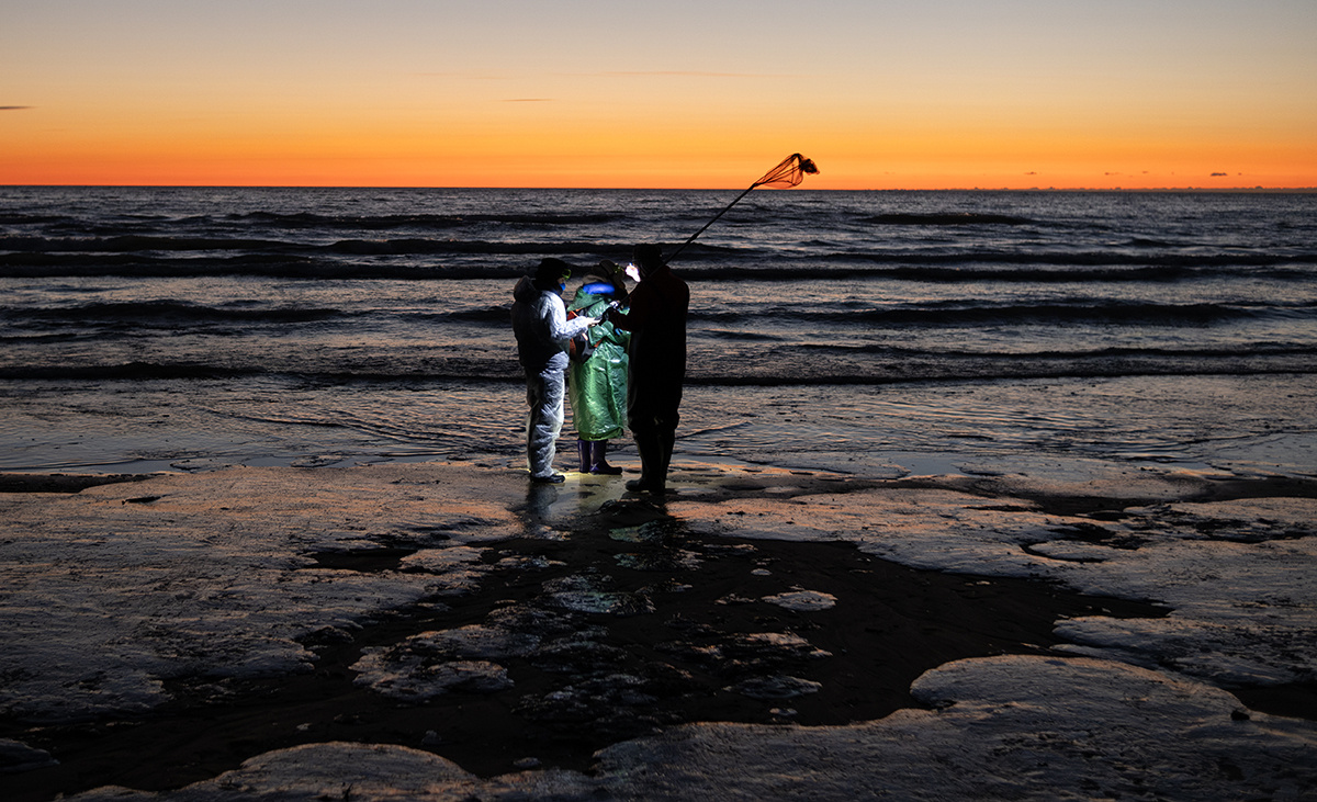 Фото: Виген Аветисян для ТД