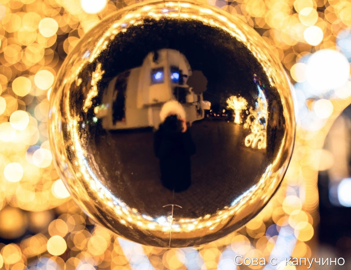 Новогодний автопортрет 