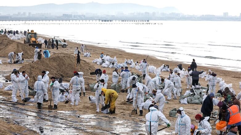    Фото: ©Дмитрий Феоктистов/ТАСС