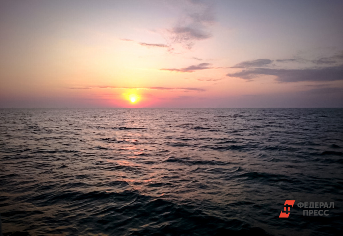 Отчистка моря продолжается.  Фото: Фото: ФедералПресс / Андрей Гусий