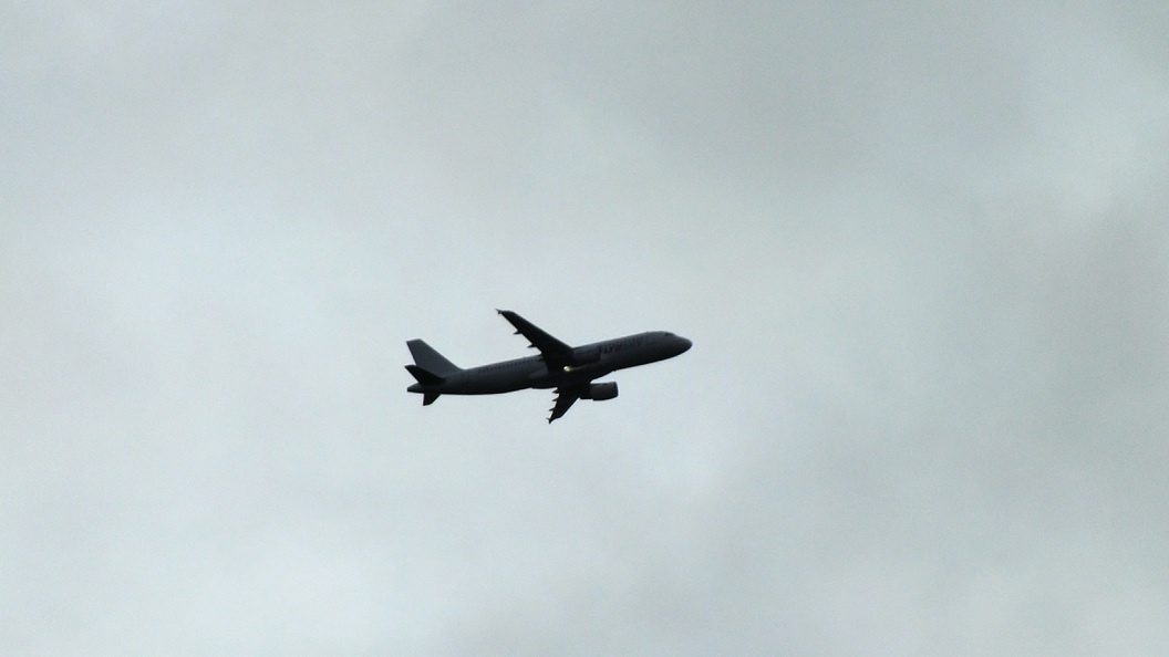    виктор лисицын/Globallookpress