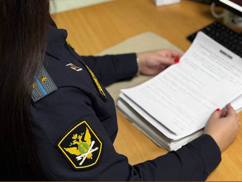 Источник: ГУФССП РФ по ДНР