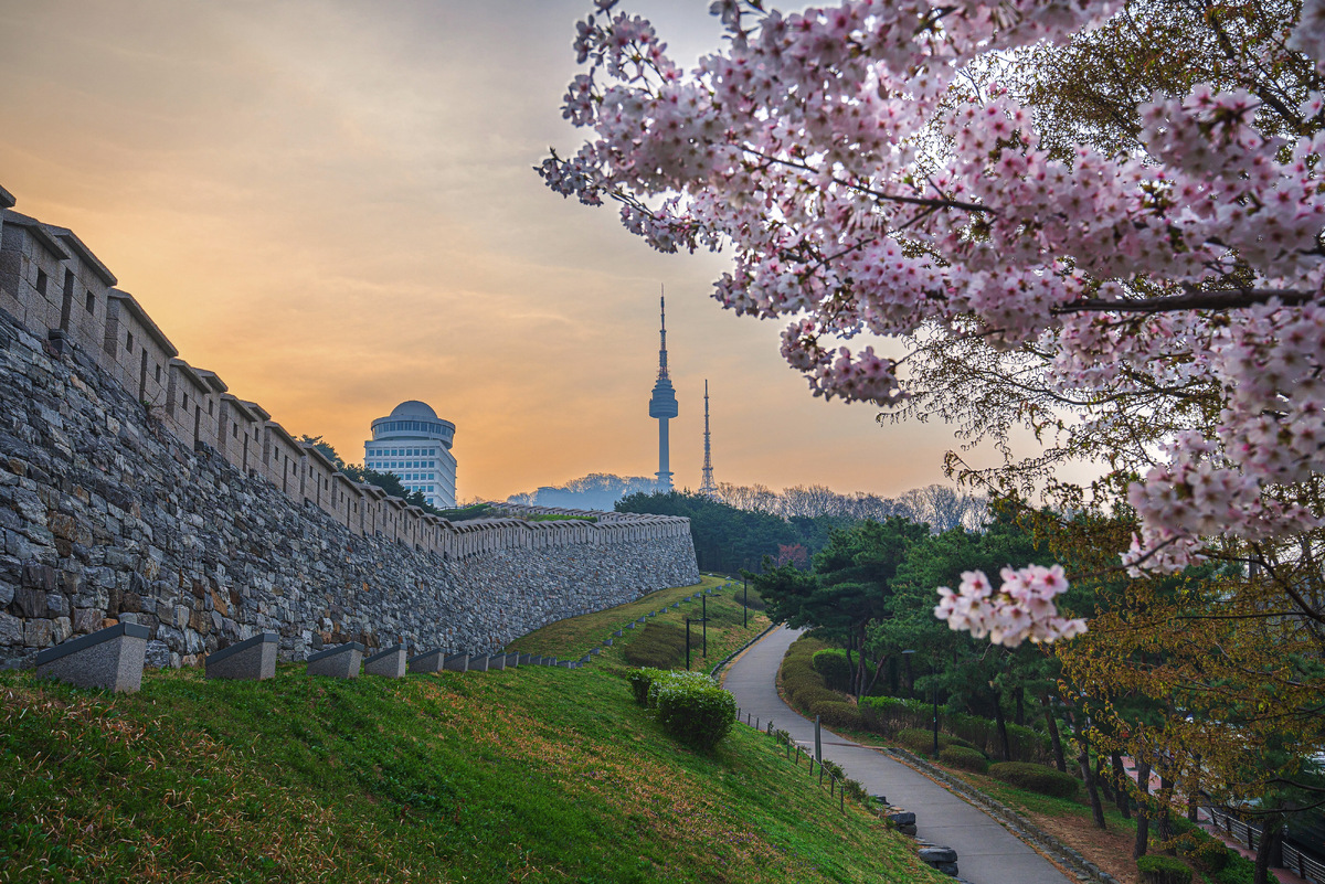 Отсюда видно и телебашню — символ Сеула и красивую достопримечательность. Фото: The Green foto / Shutterstock