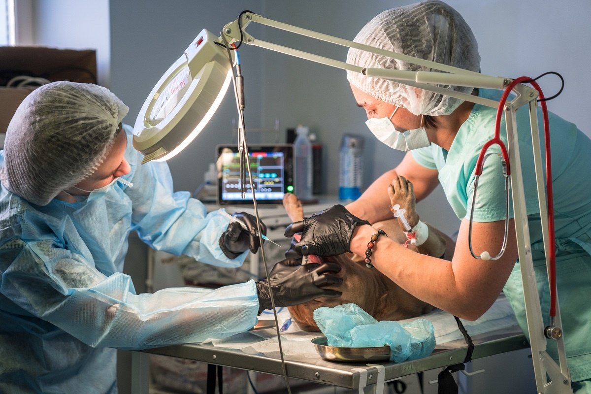 Фото: Александр Плонский / «ВиЖ»