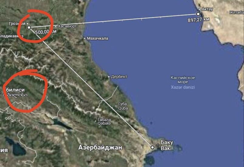 Смешные умные фразы. Интересные статусы с юмором. Мой ответ. Смешная котлета. Люди которые пытаются задеть меня.