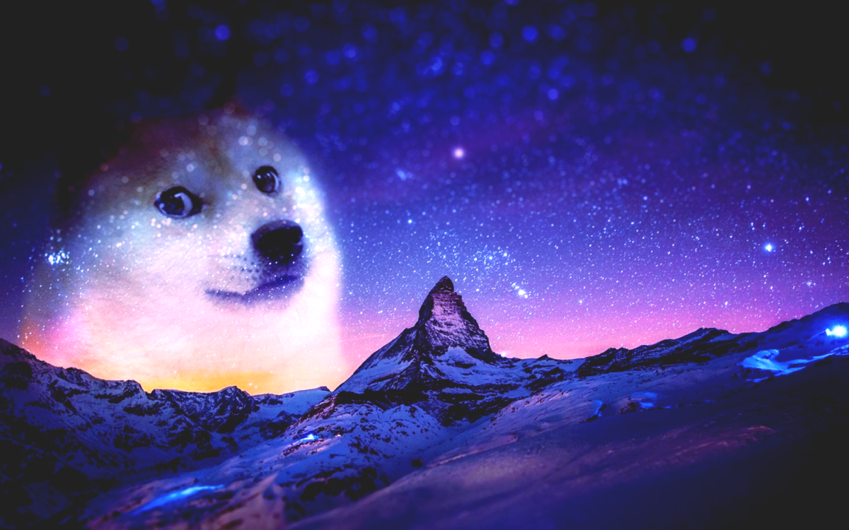 Собачий гороскоп  Фото6 stock.adobe.com