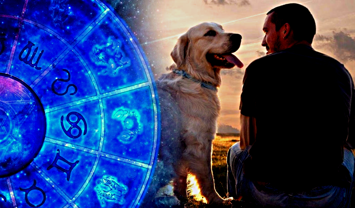 Собачий гороскоп  Фото: god.com
