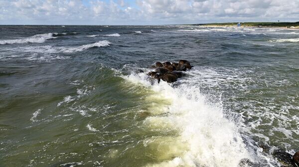    © Sputnik / Владислав Адамовский