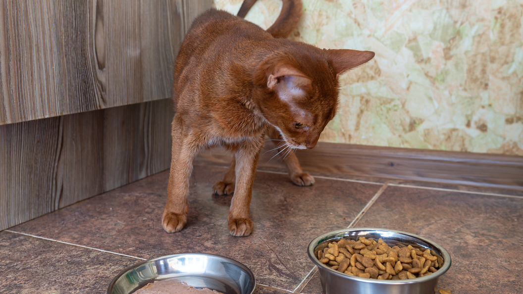    комсомольская правда/Globallookpress