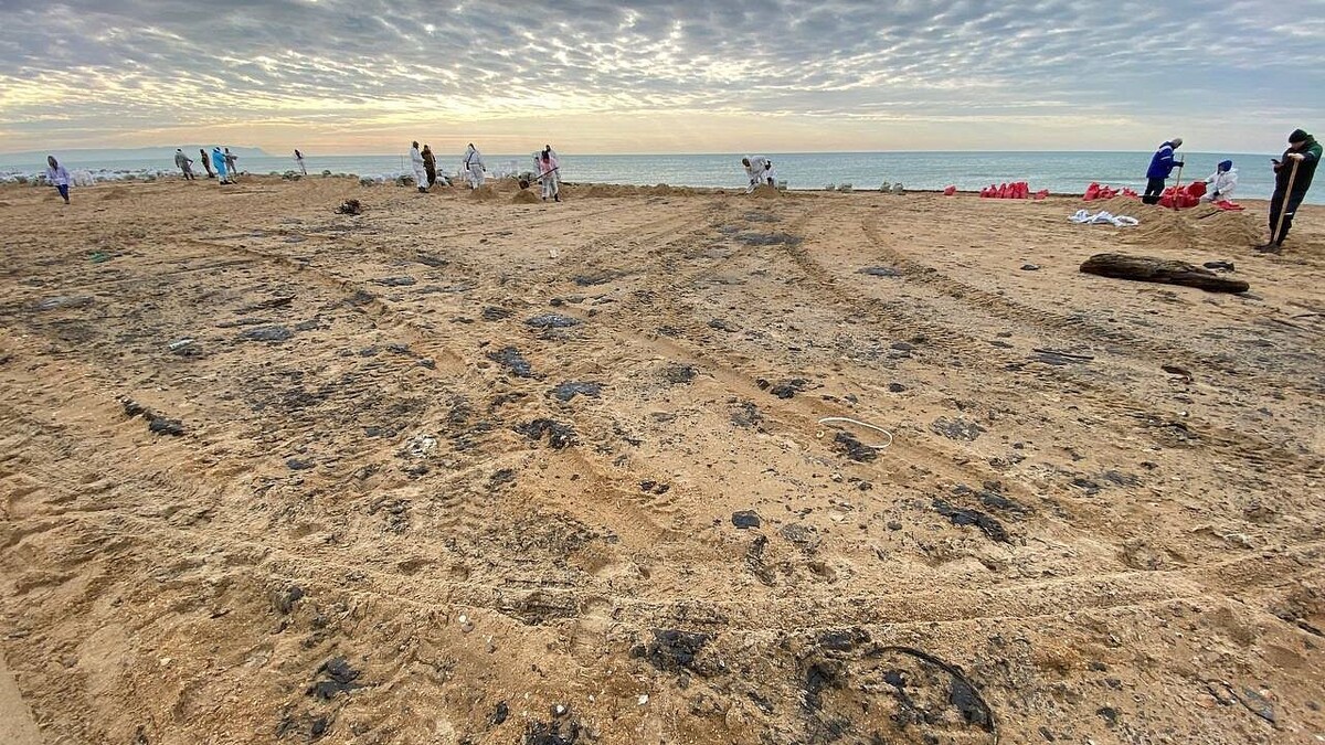    Фото: телеканал «Краснодар»