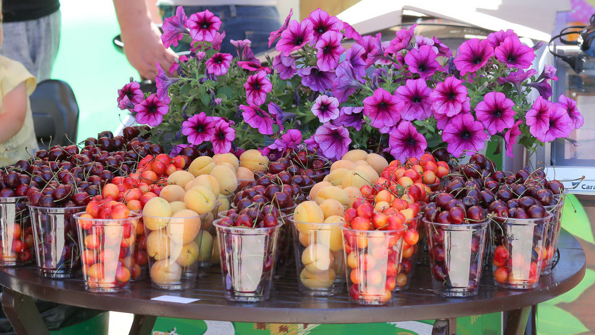    Фото: Антон Вергун