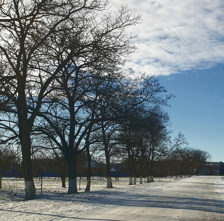 Фото "Родной стороны"