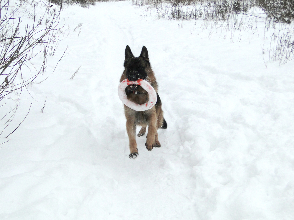 Гуляем с Асгертом, фото автора. 
