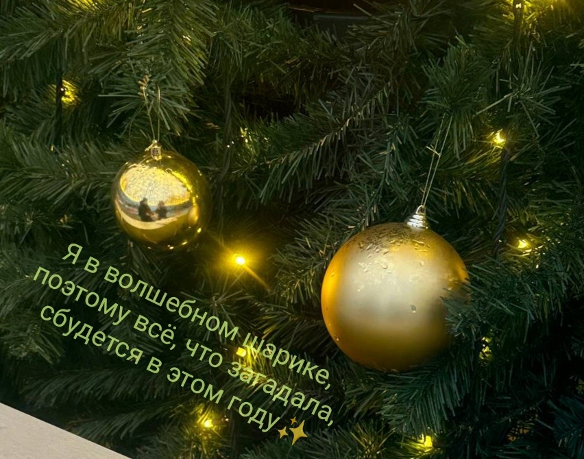Капсула времени. Новогоднее волшебство