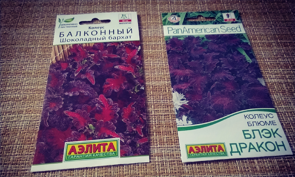 Красные с резными  листьями