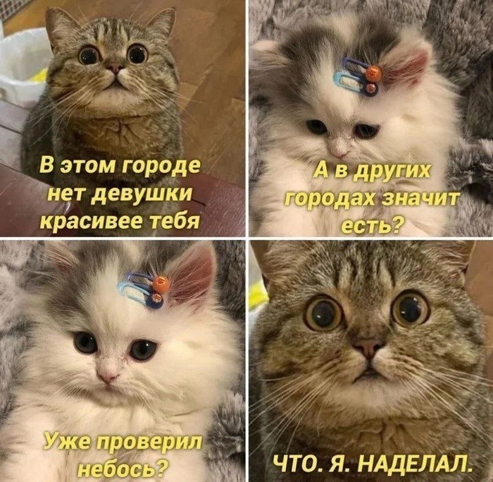 Ты одна такая. Я твоя одна такая. Картинки ты такой один. Ты только мой. Я твоя одна такая.