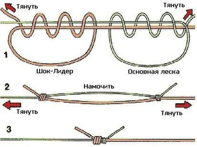 Фото с сайта: https://i.pinimg.com/736x/da/60/d8/da60d8a433ed9a9032f14bfc149ef276.jpg