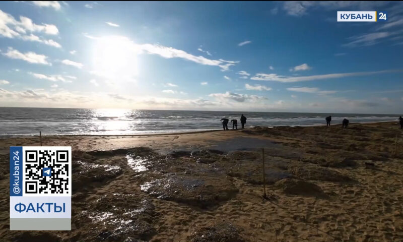    Видео канала «Кубань 24»
