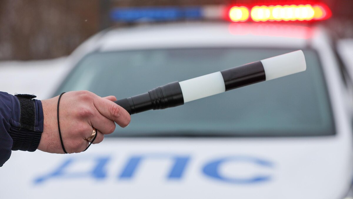 Фото: Belkin Alexey/globallookpress.com