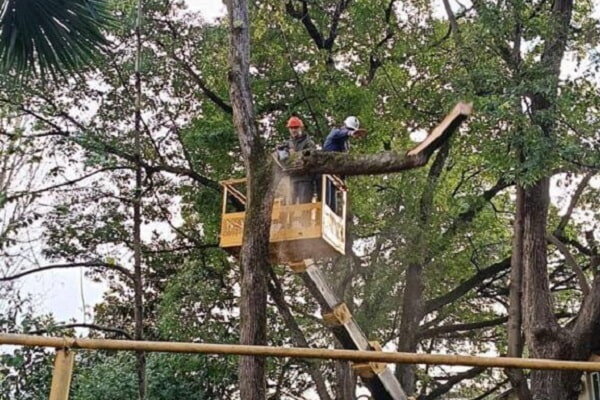 Фото: t.me/proc_23