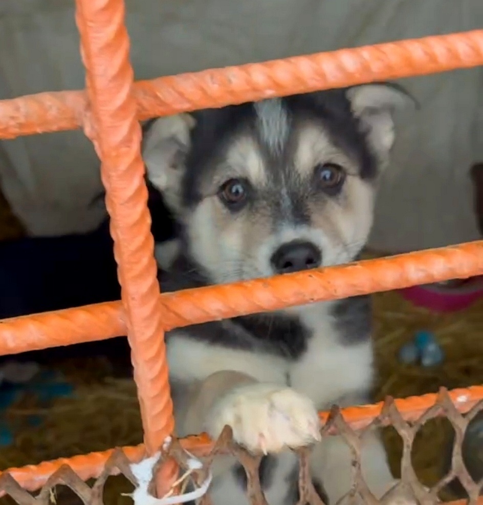 Какое имя принесёт удачу 🌟 Крошке? 