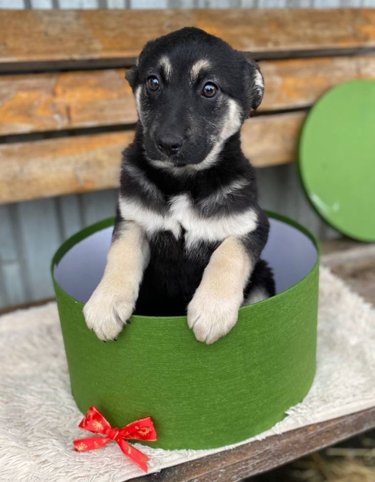 И её Сестрёнке? 