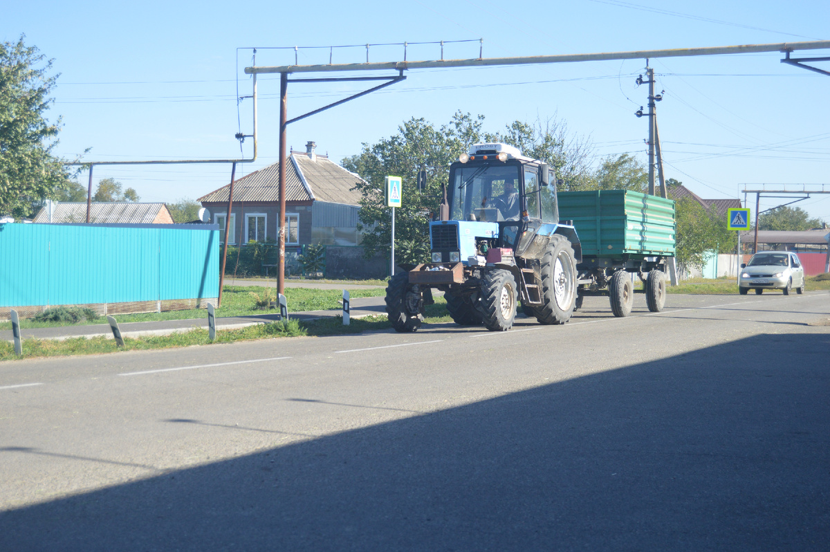 Фото автора. Лето 2024. Станица. Жизнь сельская.