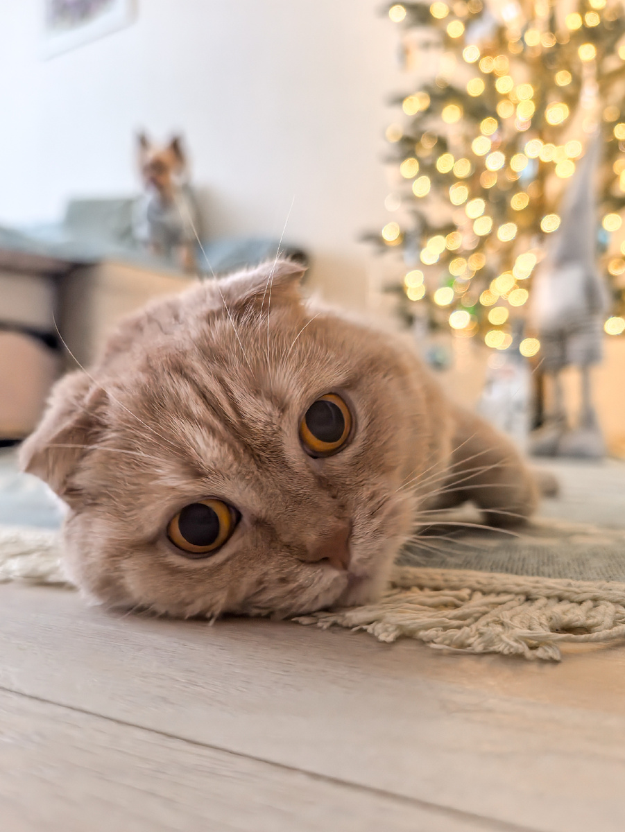 На заднем плане и Мийка видна