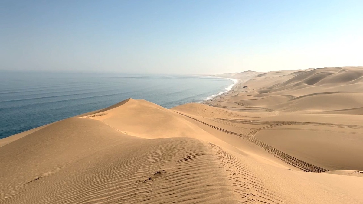 источник: Africa Brut