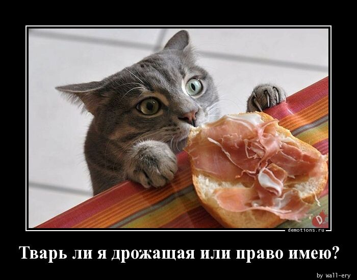 источник Яндекс-картинки