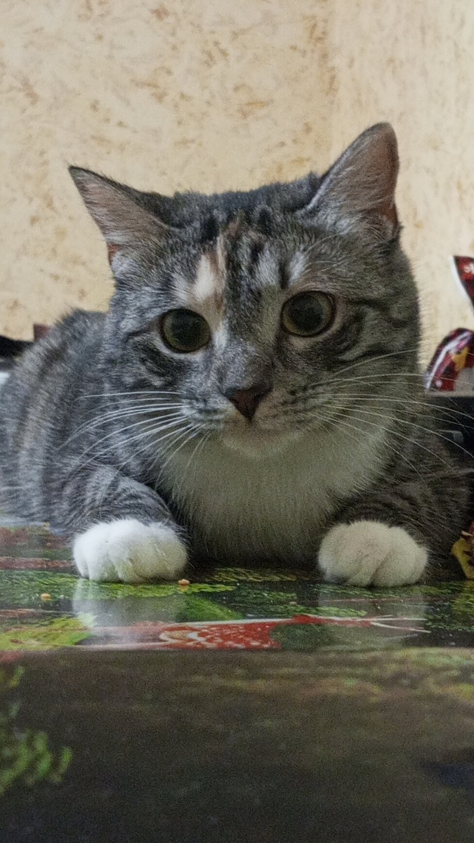 Моя красавица 🥰❤