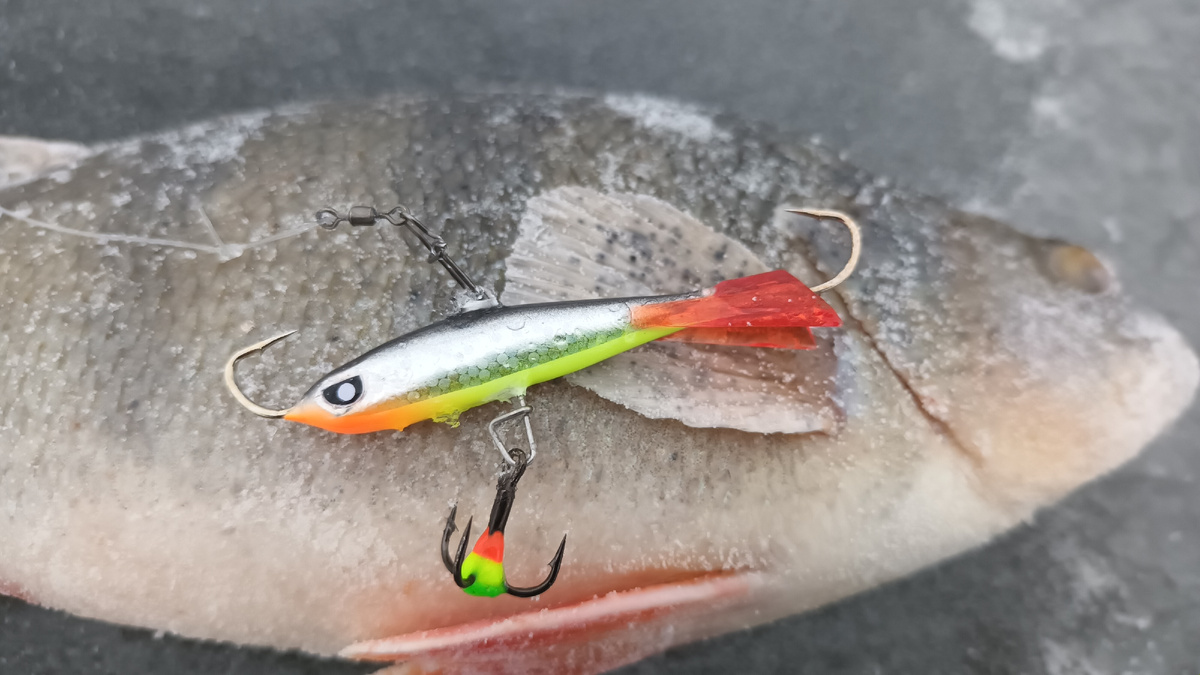 окунь балансир. фото Рыбалка в Поволжье Дзен