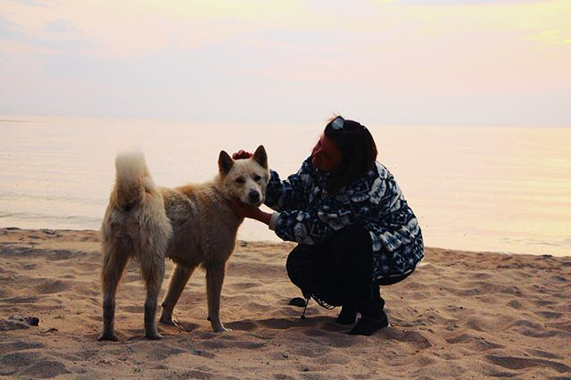 Очень фотогеничный пёс, живущий у Байкала)