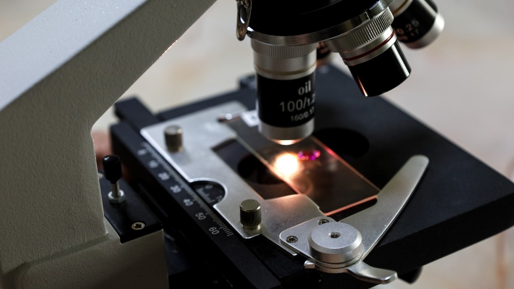    Елена Майорова/Global Look Press