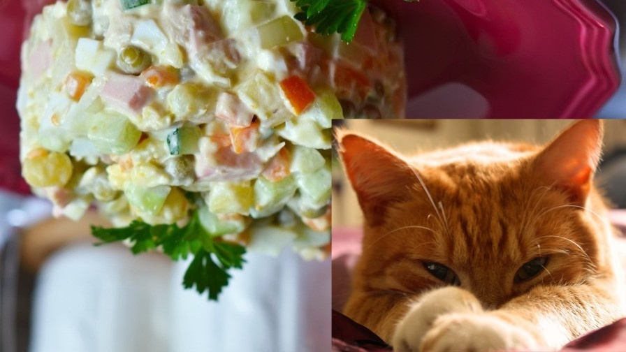 Коллаж автора