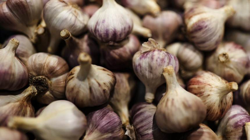    Фото: © РИА Новости/Виталий Тимкив