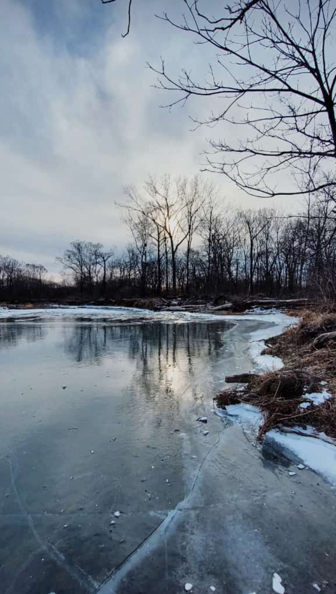 Природные фотографии от моего брата Дениса 