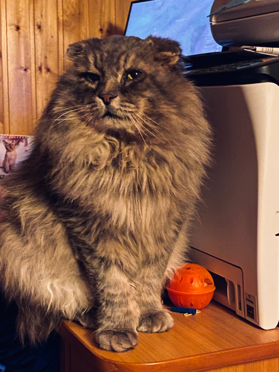 Сейчас я тут всех проконтролирую и построю! Везде фото автора.