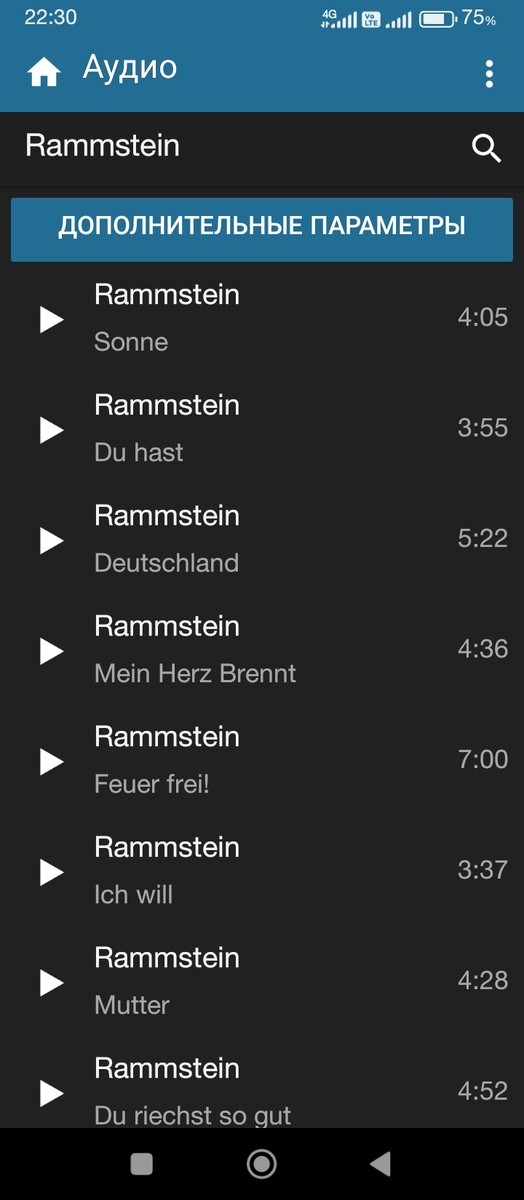 Поиск в разделе аудио. 
