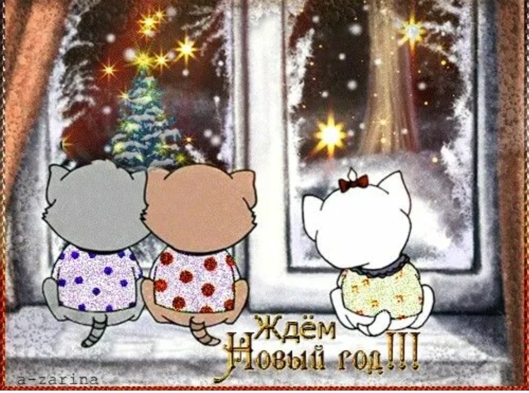 Фото из интернета