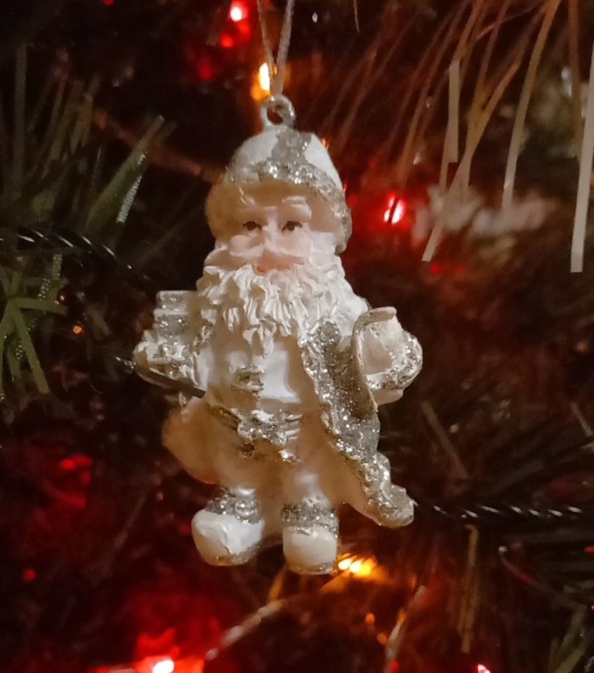 Фото автора. Всех - с наступающим!