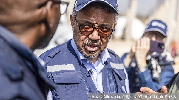     Фото: Anas Alkharboutli/dpa/Global Look Press   
 Текст: Евгения Караваева